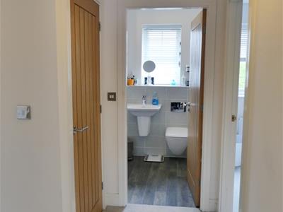 Picture 16
